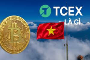 TCEX Là Gì? Giới Thiệu Sàn Giao Dịch Tài Sản Số Tiên Phong Tại Việt Nam